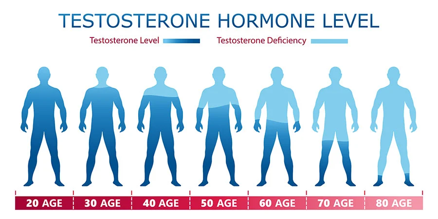 A professional medical chart showing the decline of testosterone levels by age in men from their 20s to their 60s.
